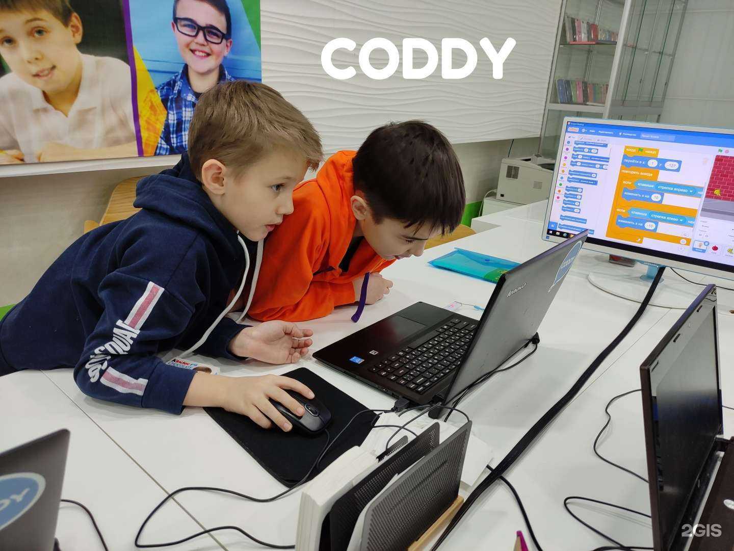 Отзывы на компанию Coddy в Перми c фото