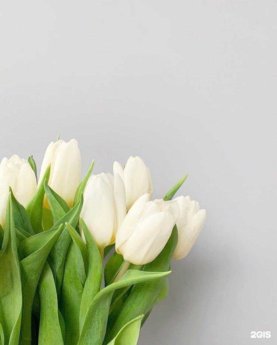 Отзывы на компанию Твоя аптека в Барнауле c фото