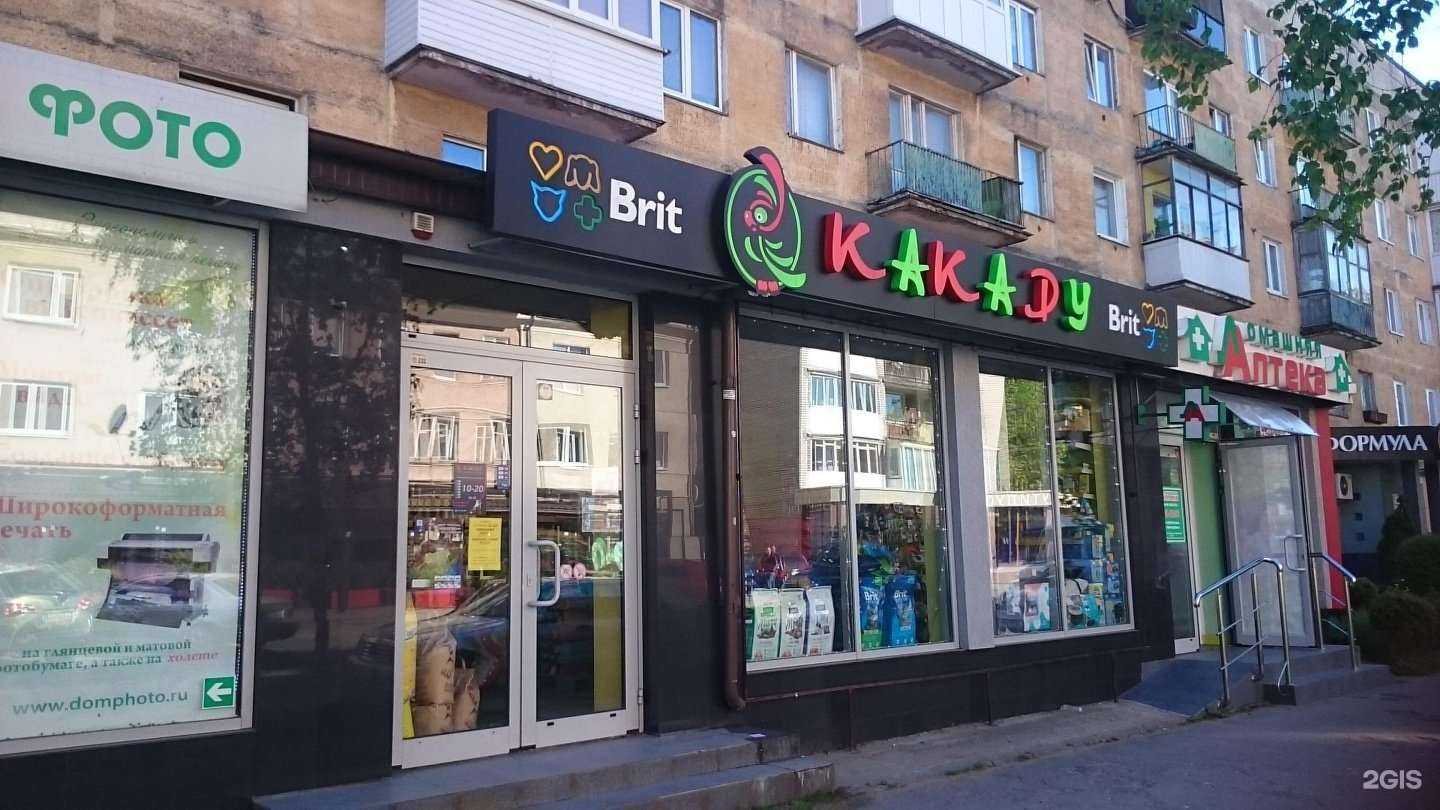 Отзывы на компанию Какаду в г. Калининград c фото