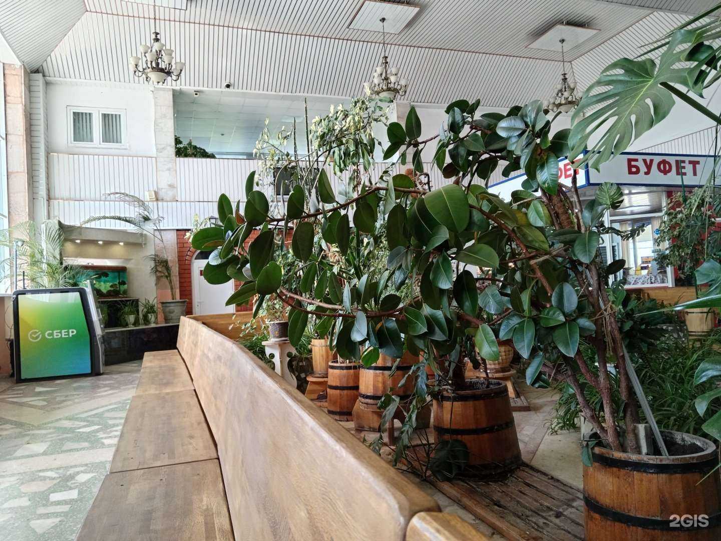 Отзывы на компанию Блиномания в Старом Осколе c фото - фотография 2 из 2