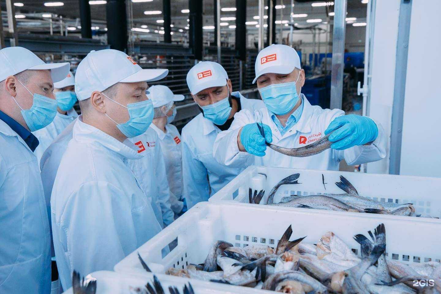 Отзывы на компанию Интрарос в г. Владивосток c фото