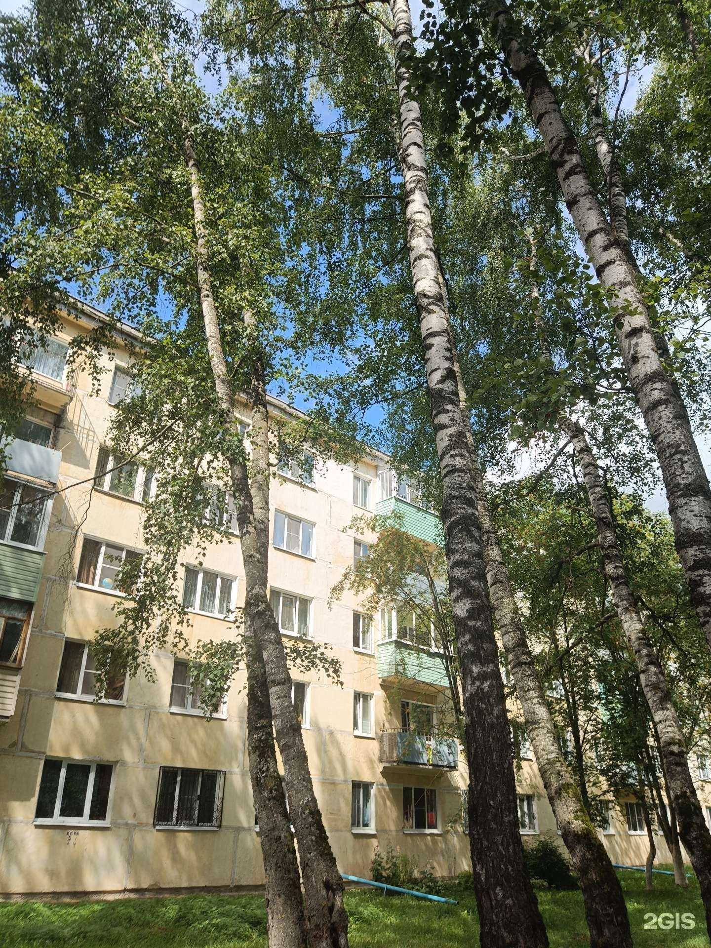 Отзывы на компанию Айсберг в Коврове c фото - фотография 2 из 2