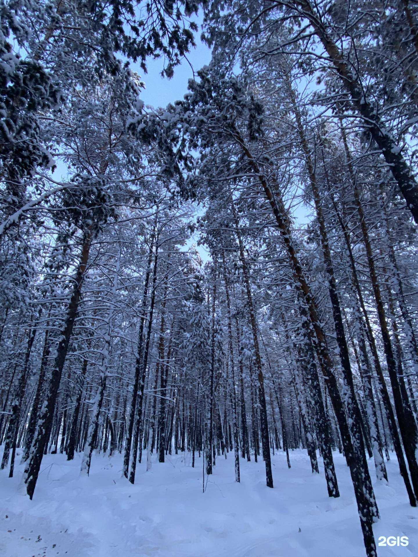 Отзывы на компанию Таежная банька в Якутске c фото