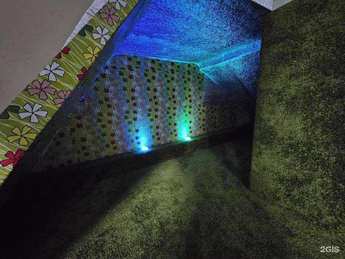 Отзывы на компанию Три кота в г. Краснодар c фото