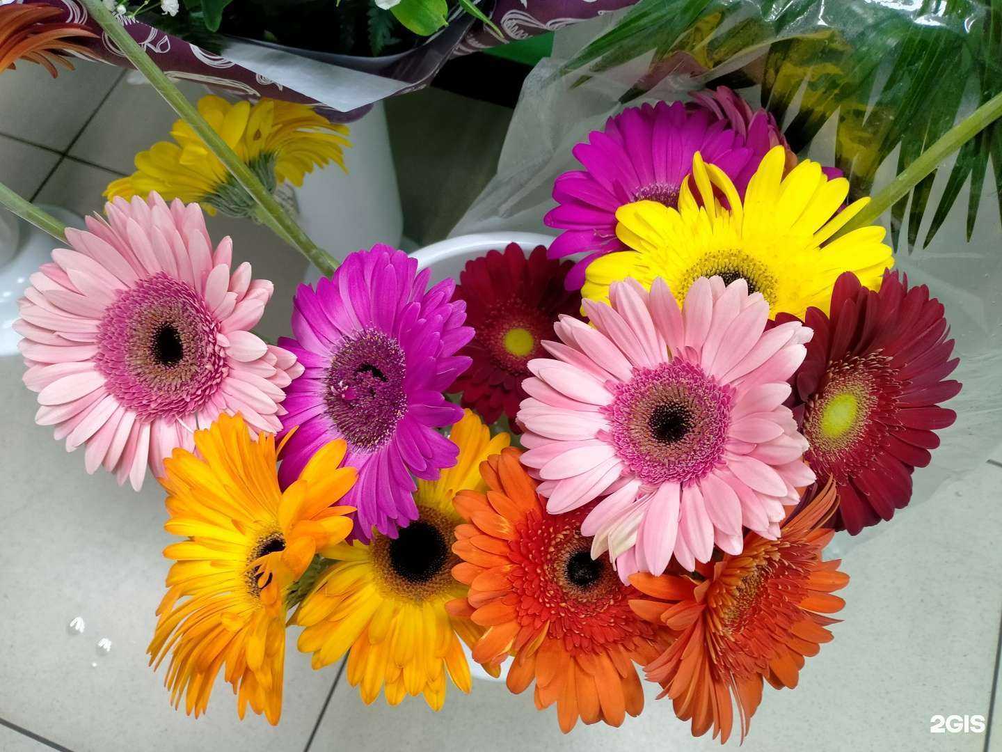 Отзывы на компанию Маргаритка в г. Курган c фото