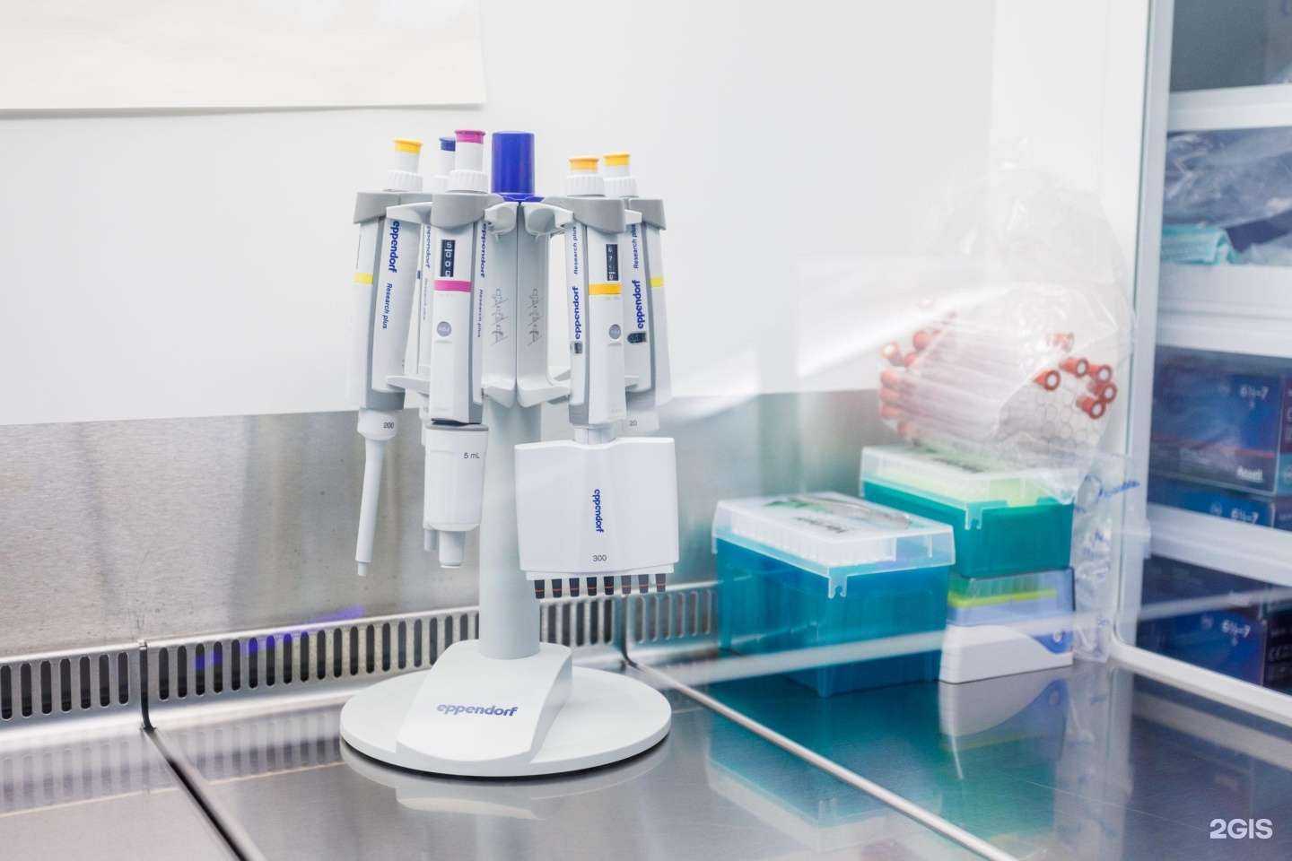 Отзывы на компанию ДНК 42 в Екатеринбурге c фото