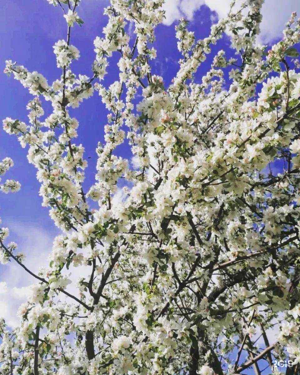 Отзывы на компанию Шейпинг-клуб в г. Саранск c фото