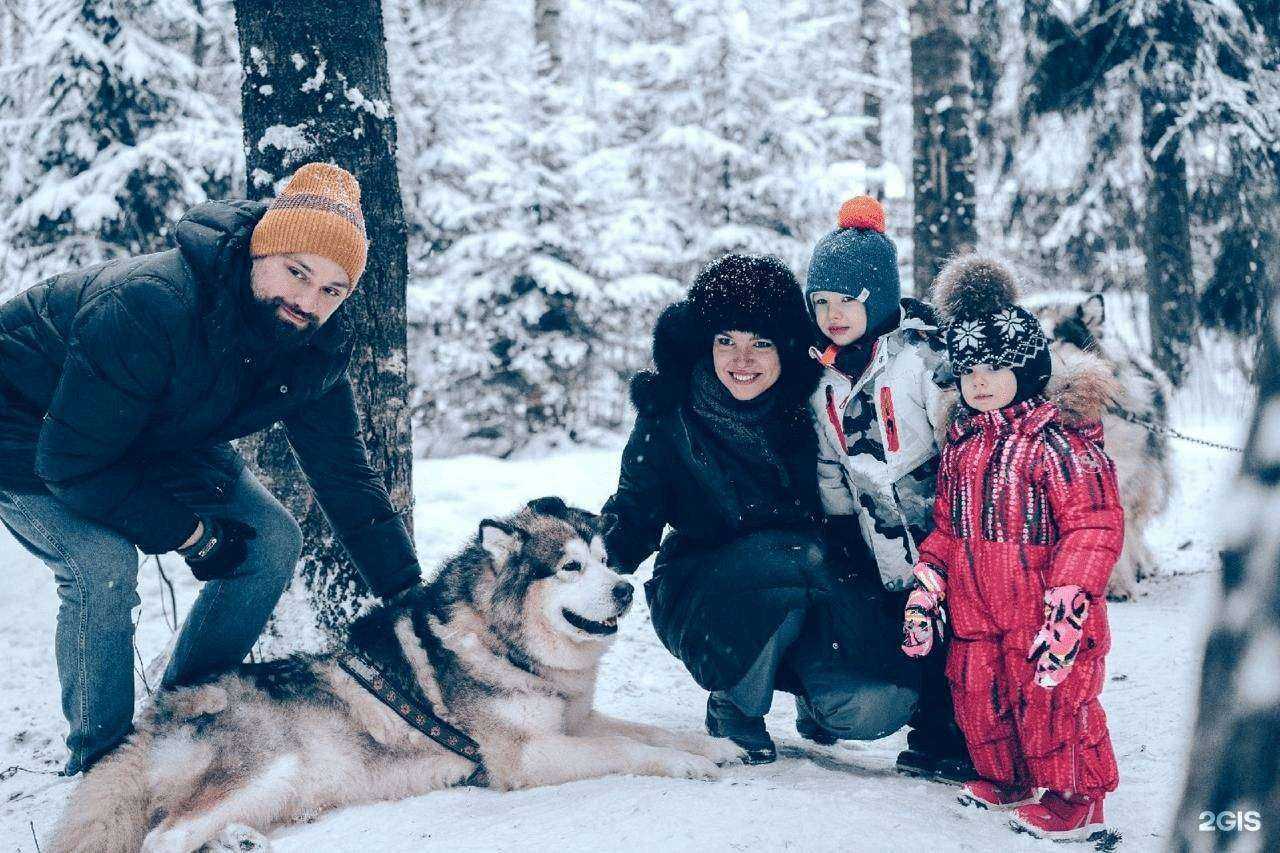 Отзывы на компанию Лада в г. Сертолово c фото