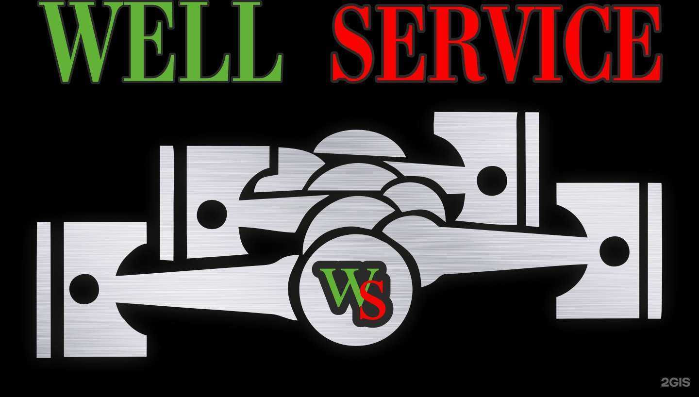 Отзывы на компанию WellService65 в Южно-Сахалинске c фото
