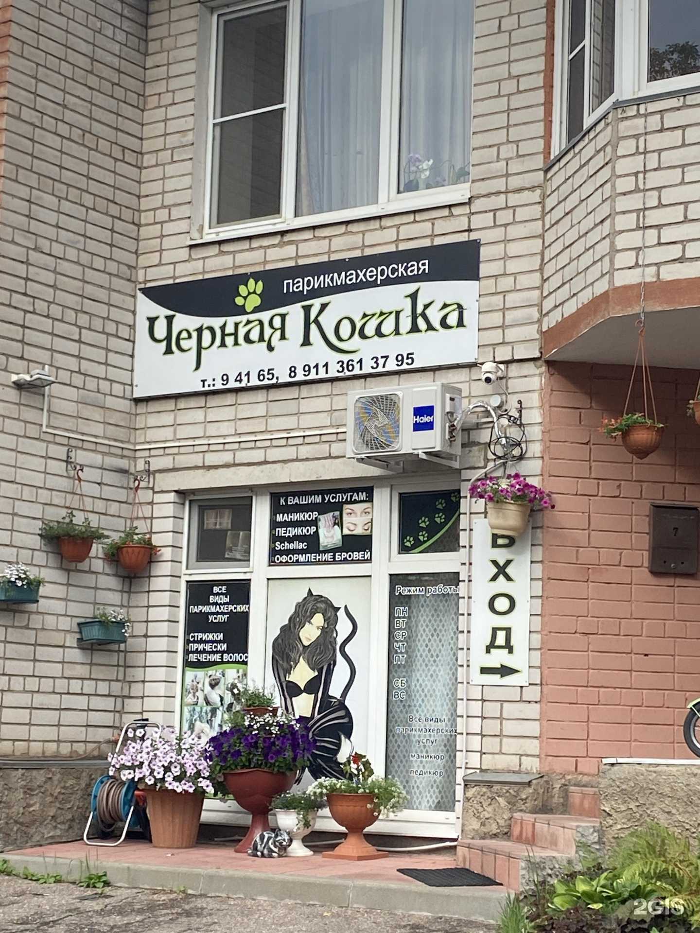 Отзывы на компанию Чёрная кошка в г. Великие Луки c фото