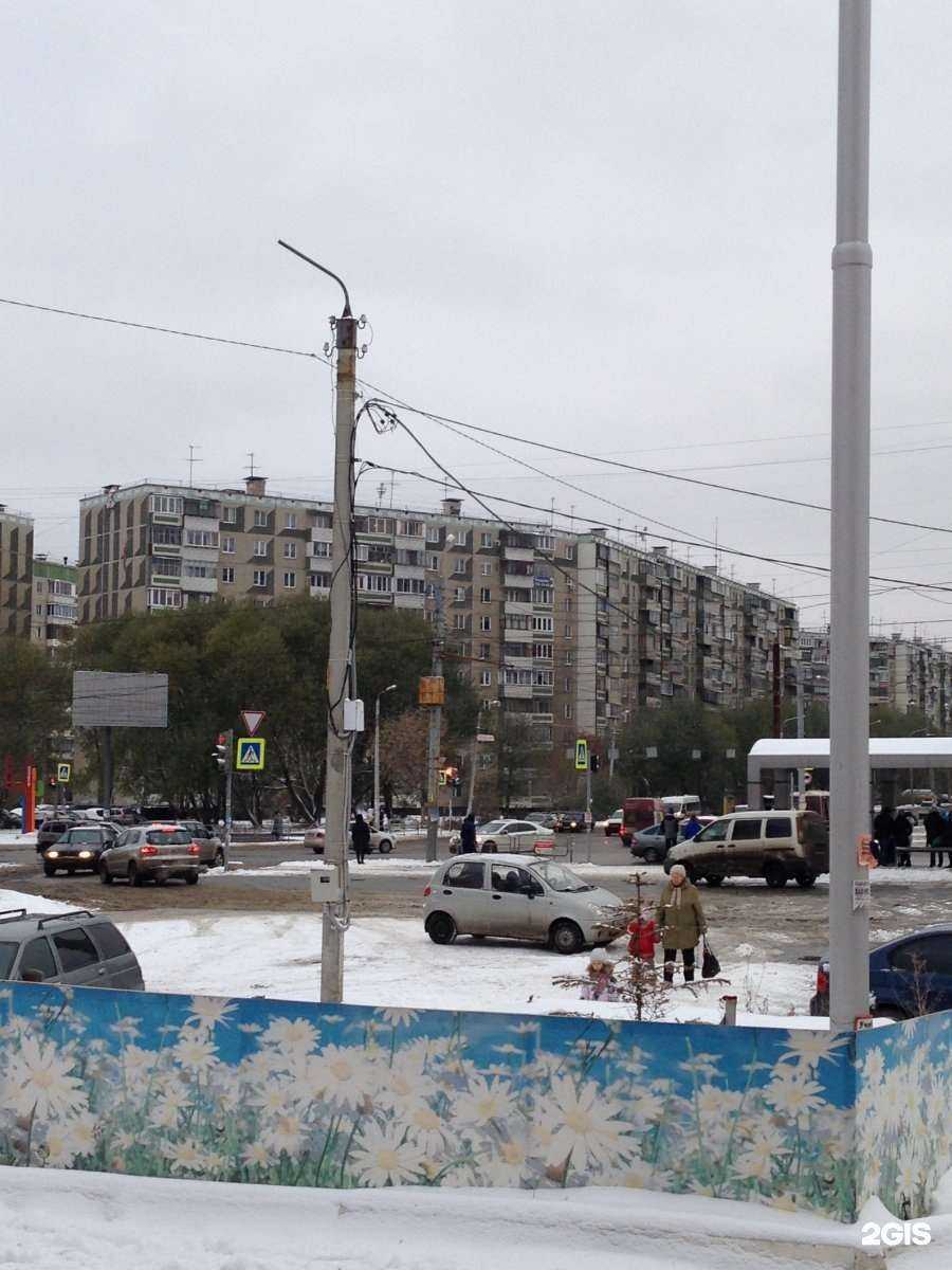 Отзывы на компанию ТerraGSM в Челябинске c фото - фотография 2 из 2