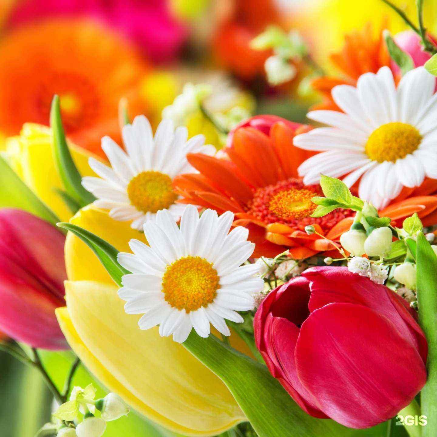 Отзывы на компанию Зеленая сфера в г. Екатеринбург c фото