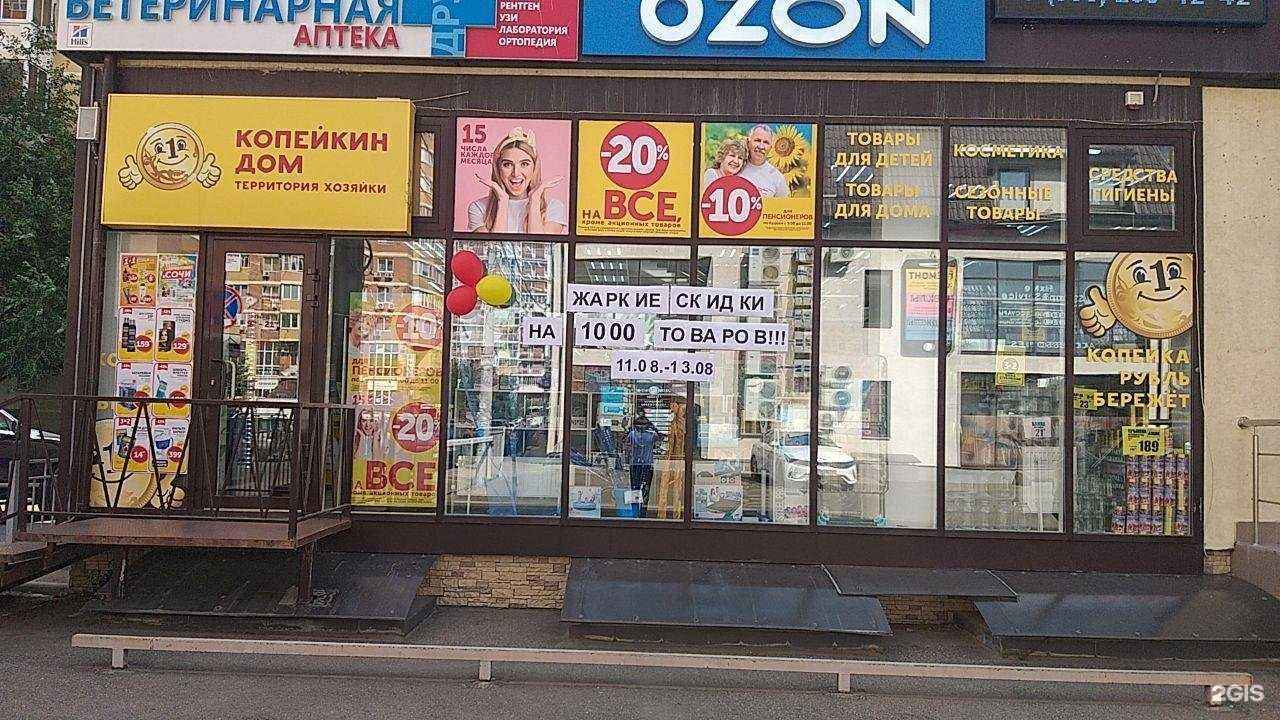 Отзывы на компанию Копейкин Дом в г. Краснодар c фото