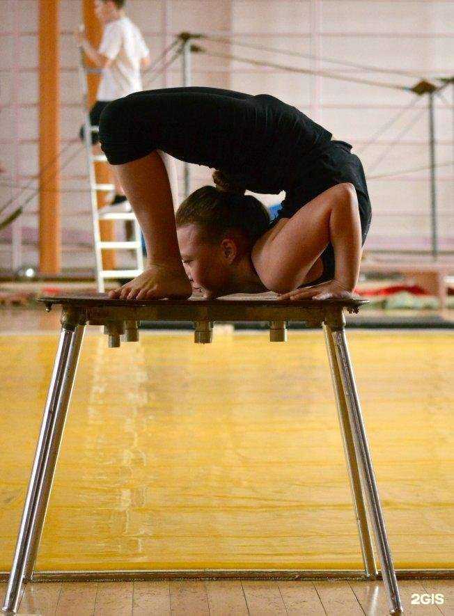 Отзывы на компанию Детская цирковая школа им. В.М. Агарева в г. Арсеньев c фото