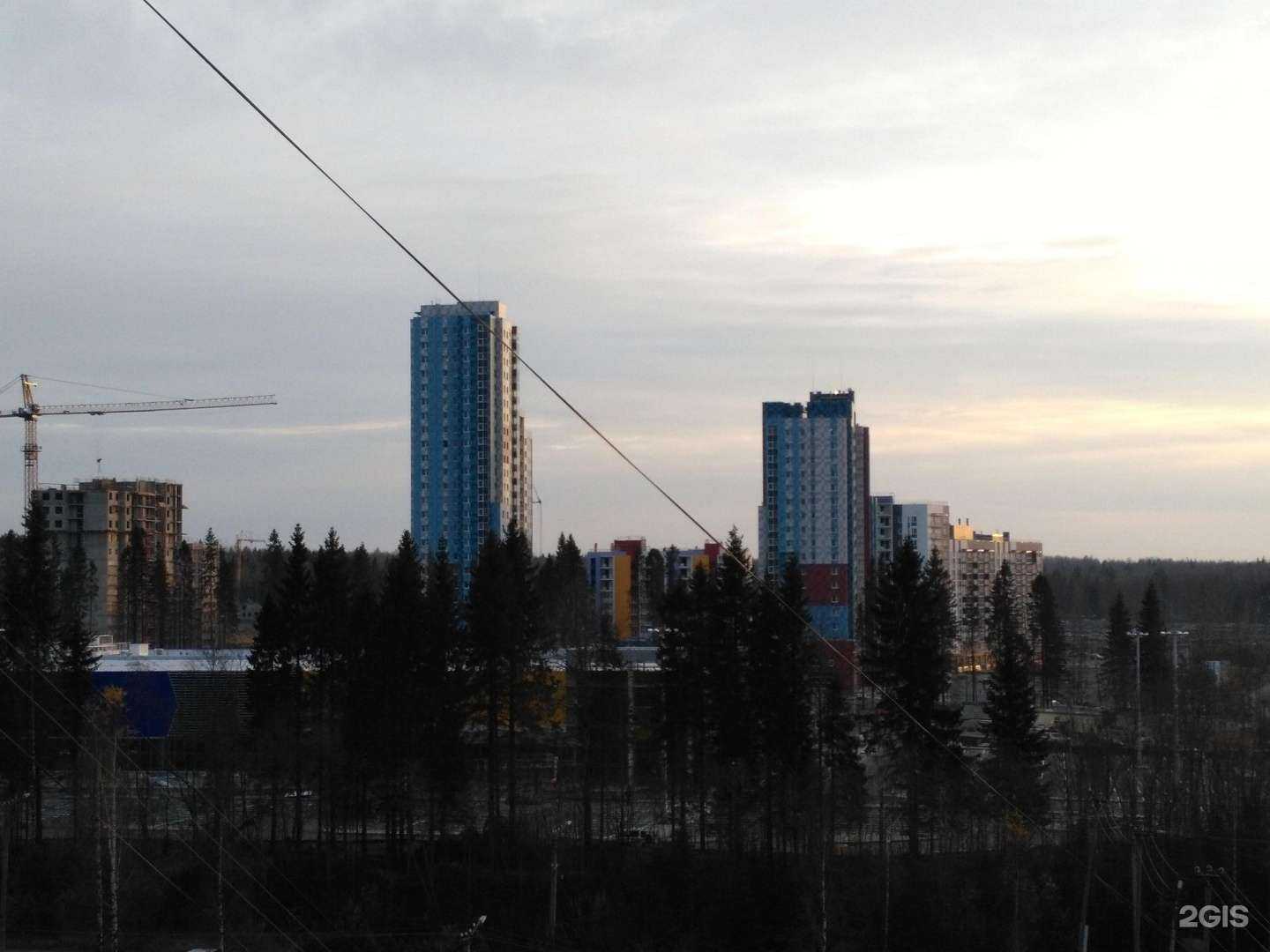 Отзывы на компанию Цксб в г. Петрозаводск c фото