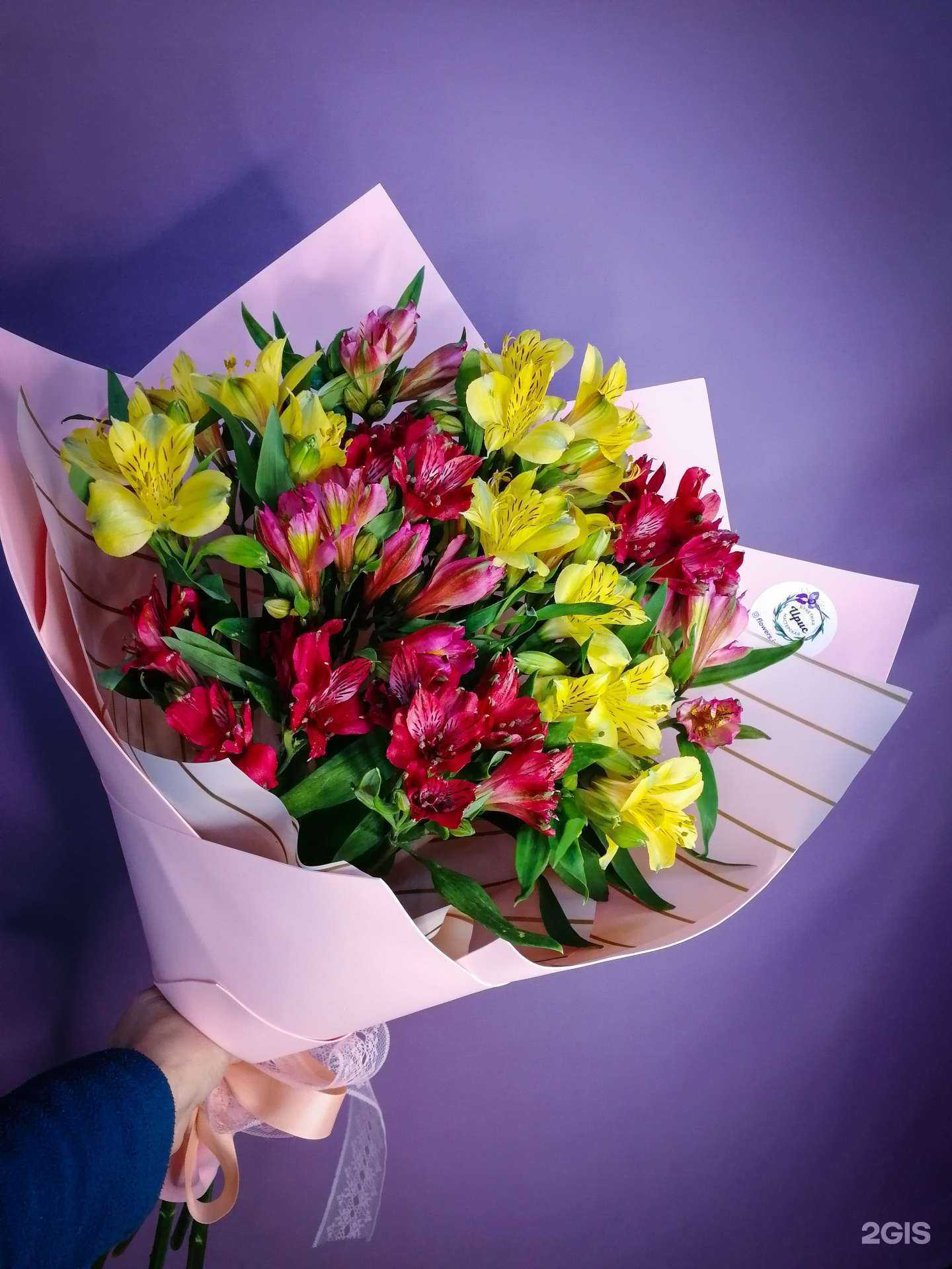 Отзывы на компанию Ирис в Иркутске c фото