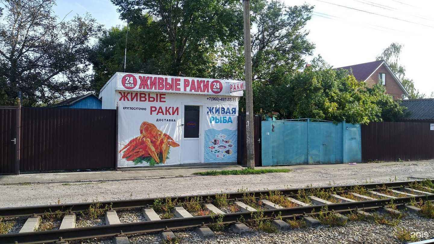 Отзывы на компанию Магазин раков в г. Краснодар c фото