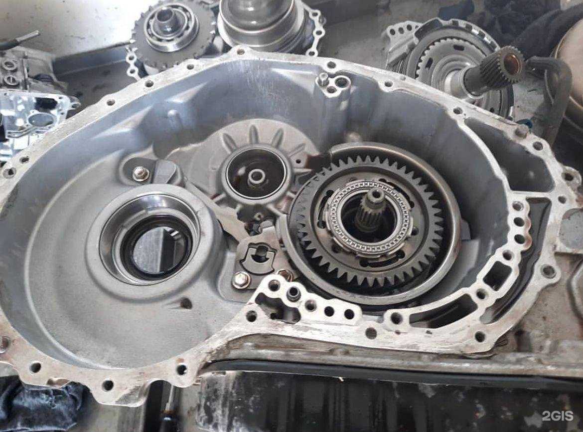 Отзывы на компанию 7speed в Сочи c фото