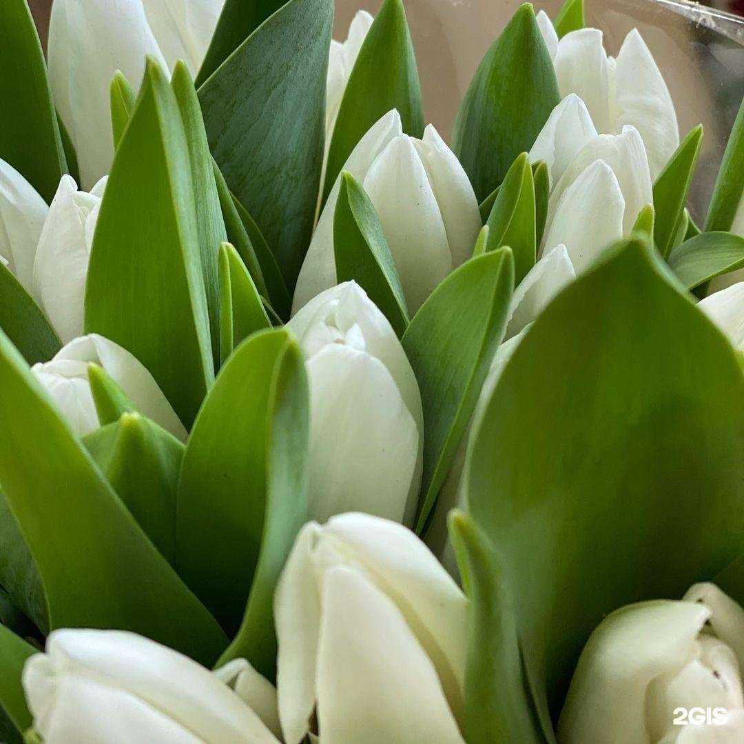 Отзывы на компанию Цветущий Рай в Саратове c фото