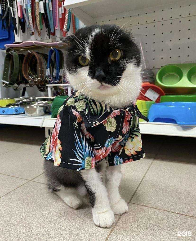 Отзывы на компанию Герасим в Краснодаре c фото