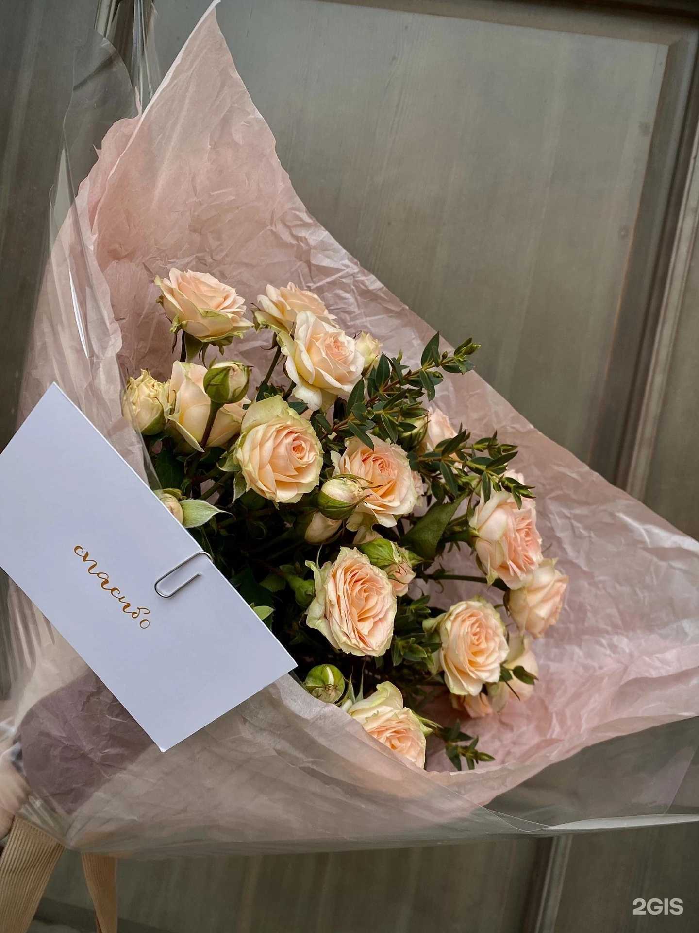 Отзывы на компанию Zoya в г. Ярославль c фото