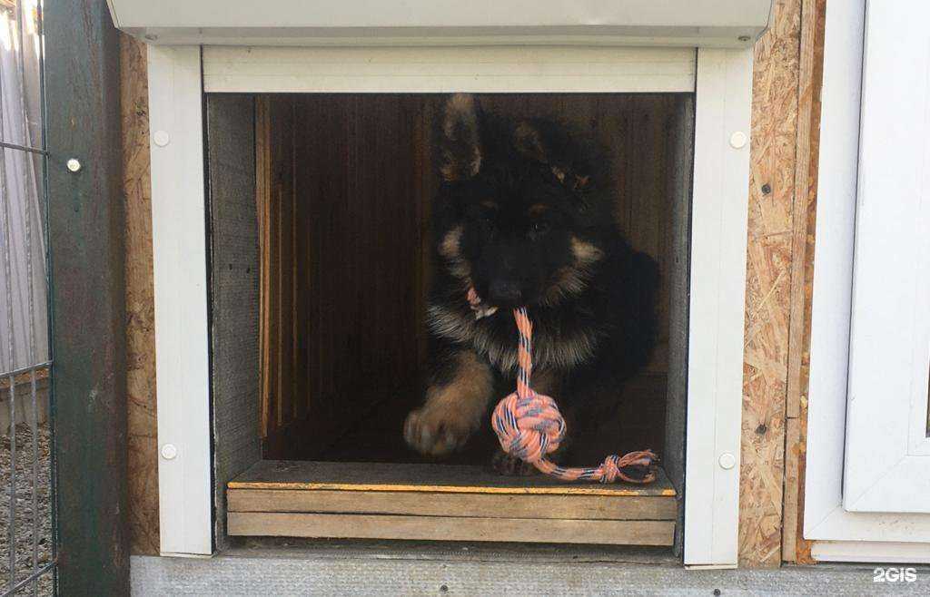 Отзывы на компанию Спи-ешь-пей в г. Екатеринбург c фото