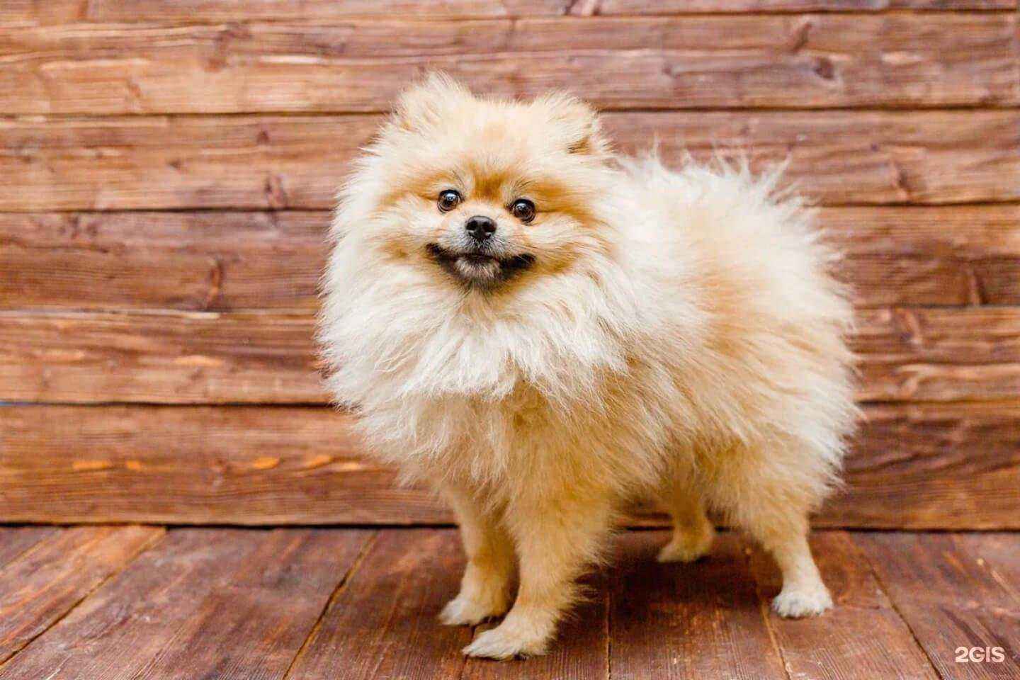 Отзывы на компанию GROOM в г. Екатеринбург c фото