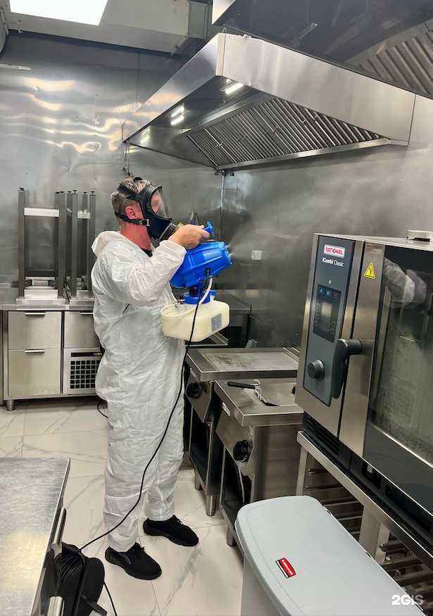 Отзывы на компанию Тараканов нет в Владивостоке c фото