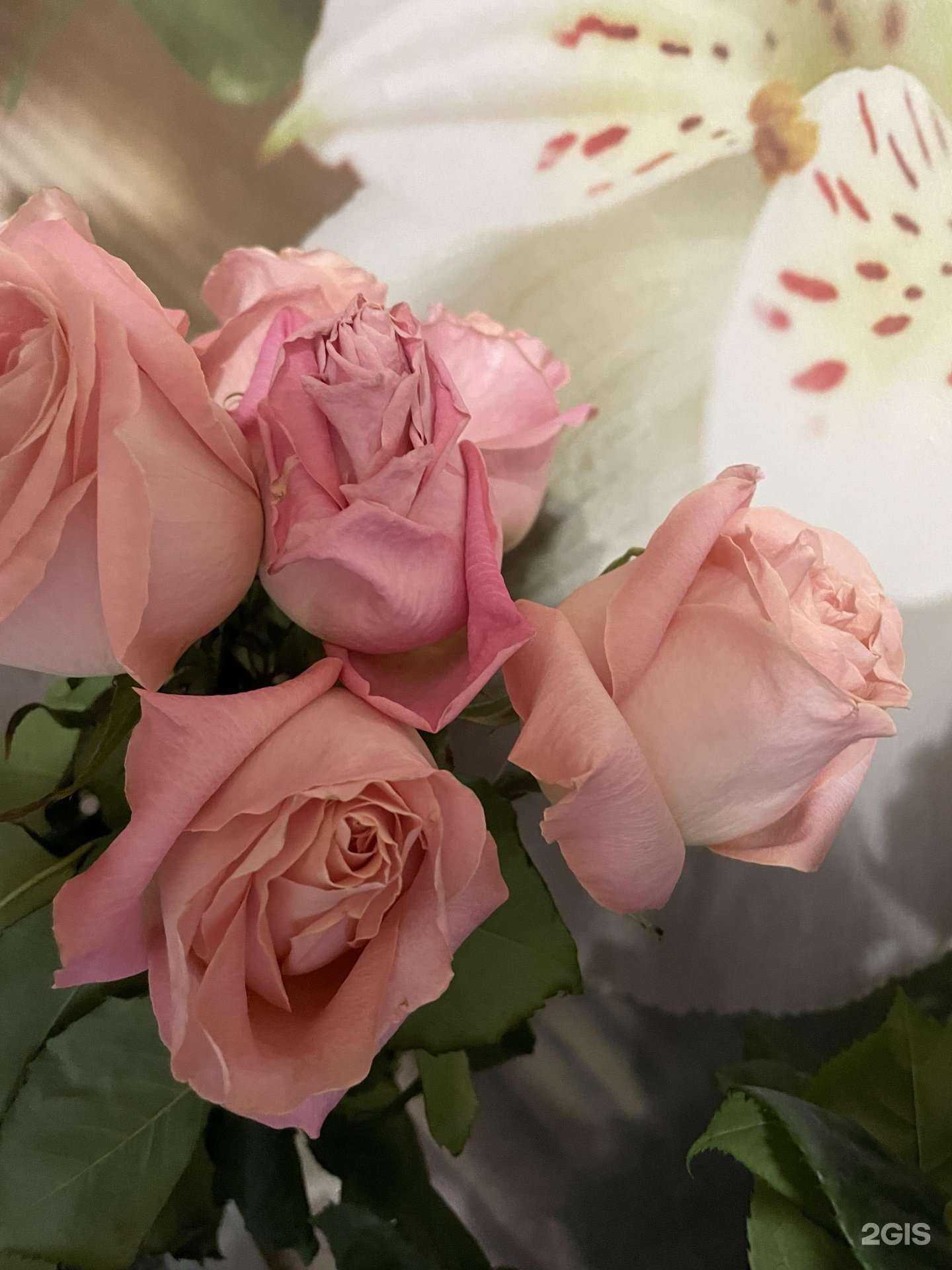 Отзывы на компанию Floreal в Иванове c фото