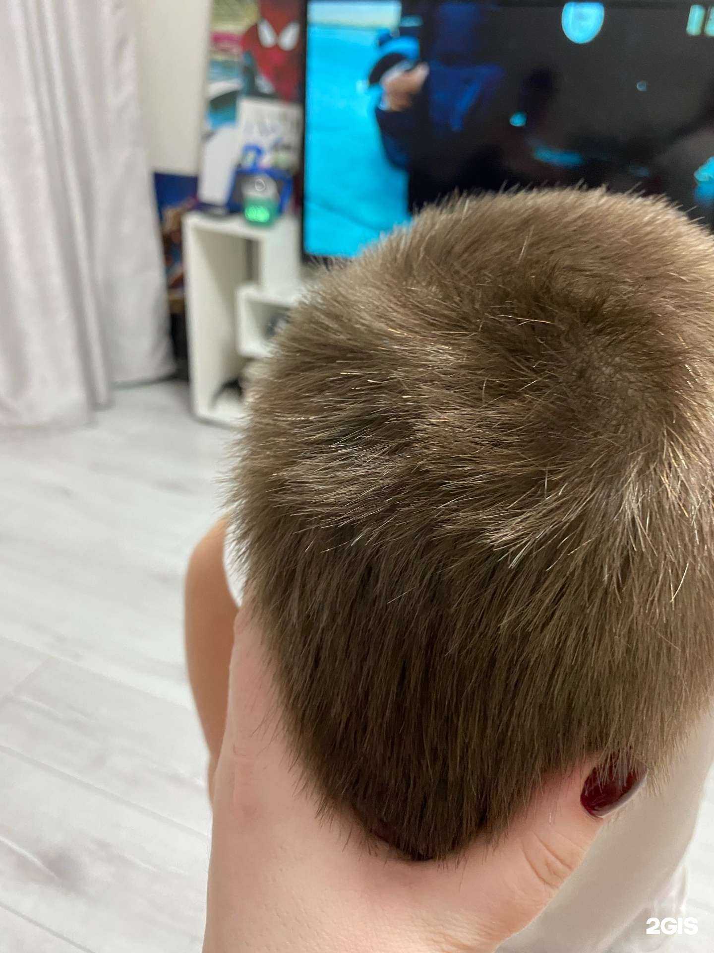 Отзывы на компанию Чио чио в Липецке c фото