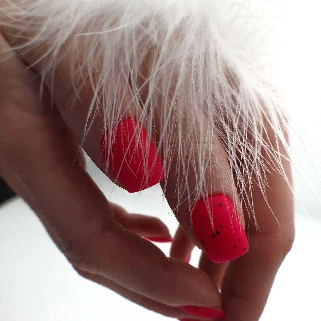 Отзывы на компанию Fursovanail_school в Новосибирске c фото