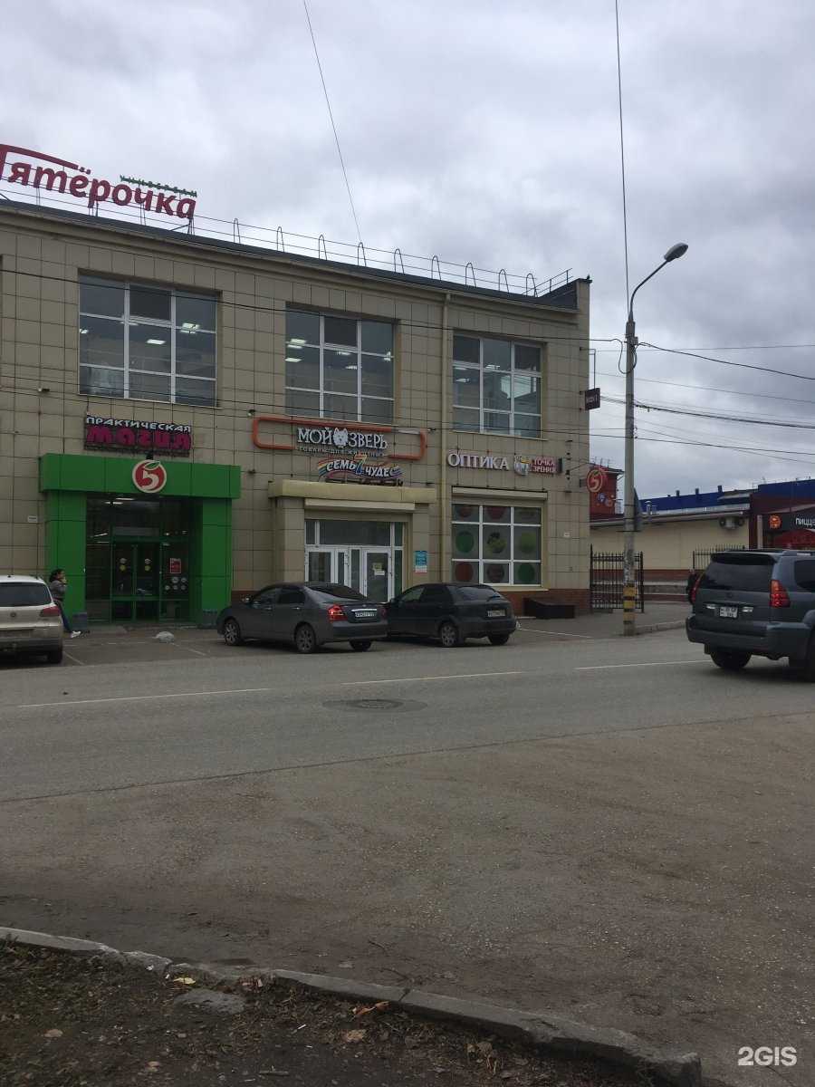 Отзывы на компанию Мой зверь в Перми c фото