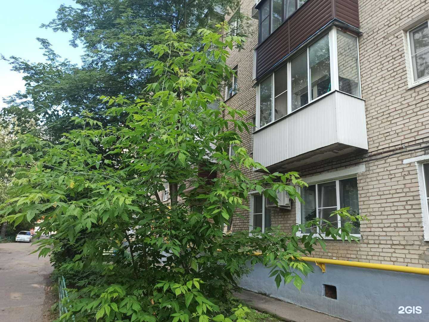 Отзывы на компанию Декор в г. Лобня c фото