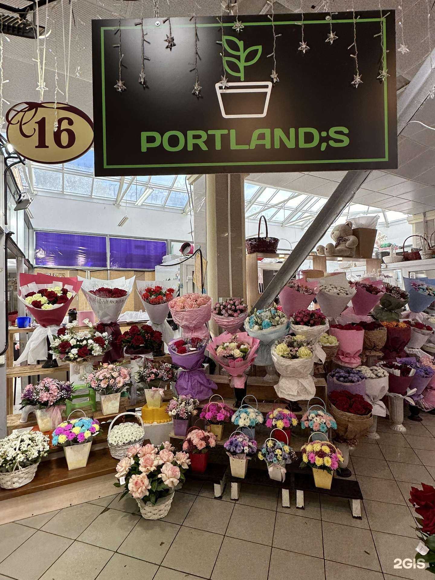 Отзывы на компанию Portlands в Тольятти c фото