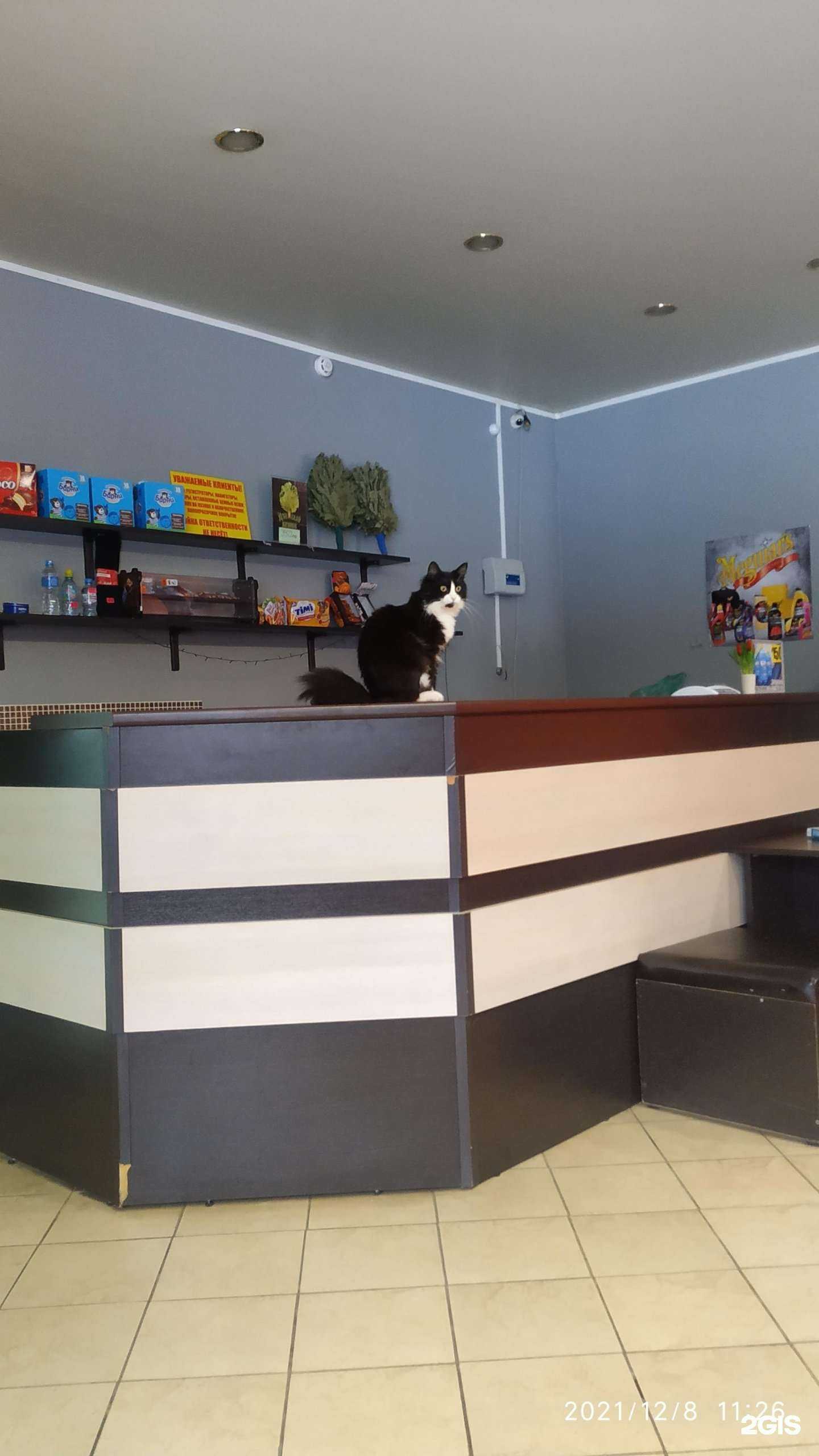 Отзывы на компанию Автодрайв в Ярославле c фото