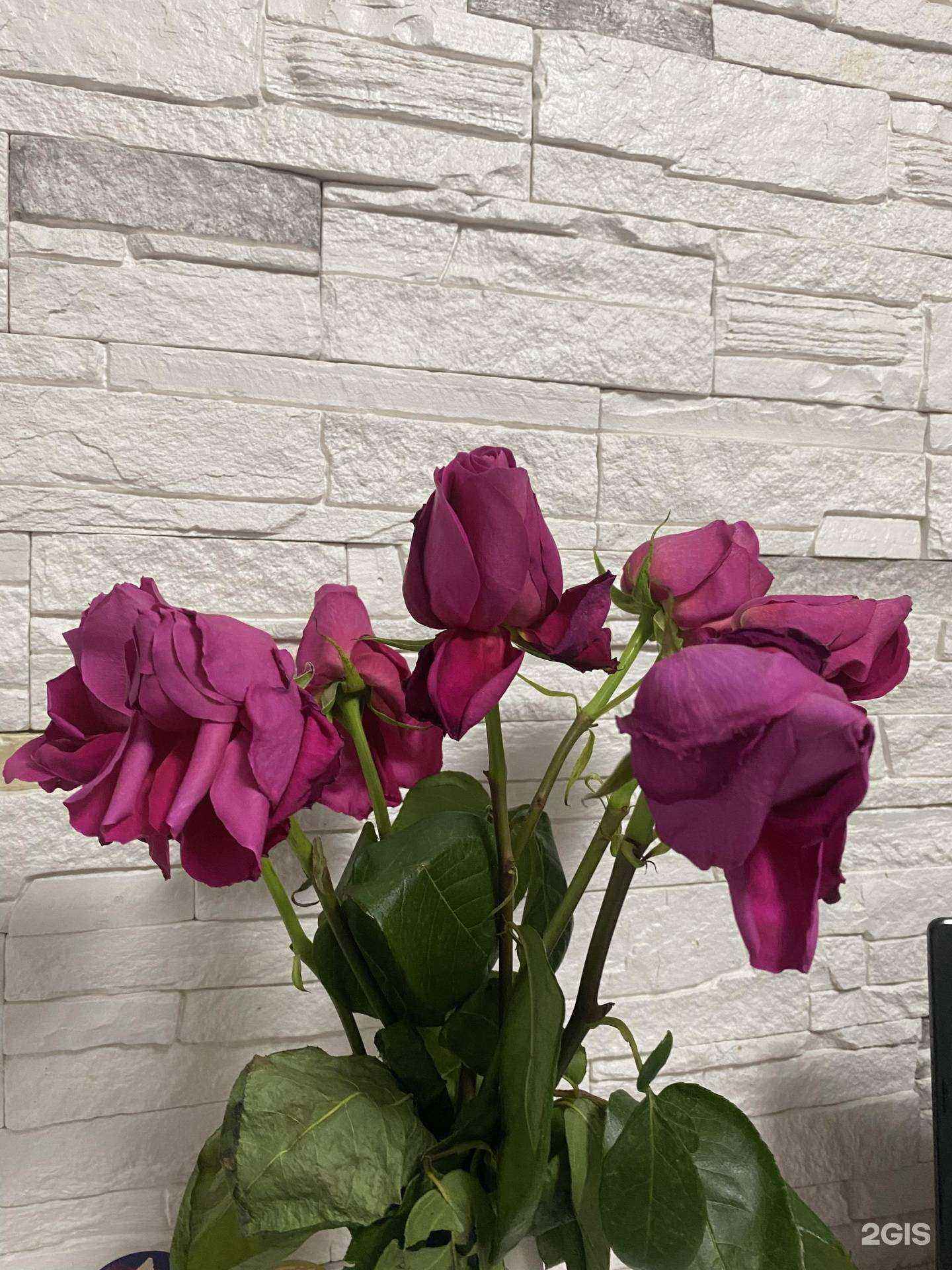 Отзывы на компанию Крона в г. Красноярск c фото