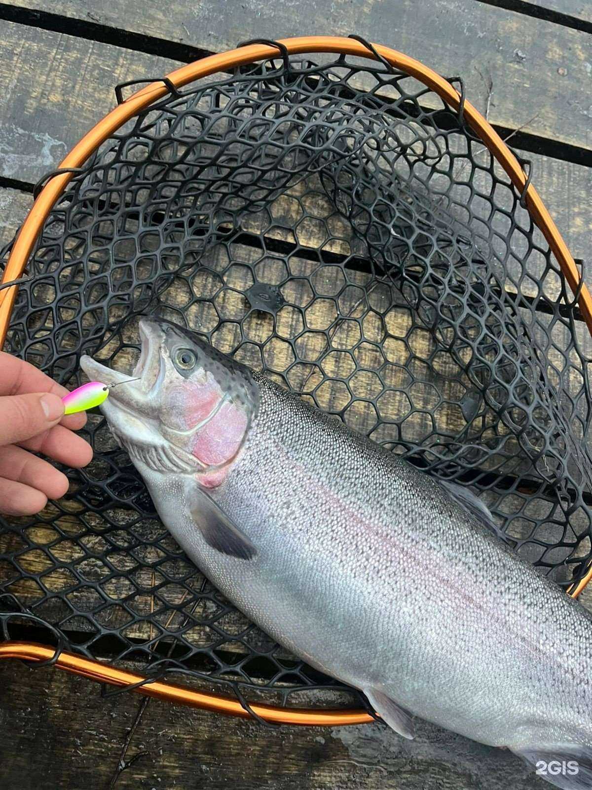 Отзывы на компанию Люберецкий Рыболов в г. Люберцы c фото