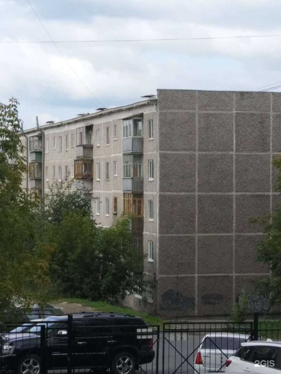 Отзывы на компанию Senshi в Екатеринбурге c фото - фотография 2 из 2