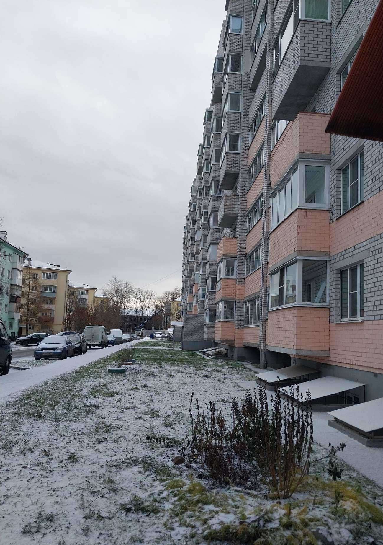 Отзывы на компанию Gogis Tattoo в Вологде c фото - фотография 2 из 2