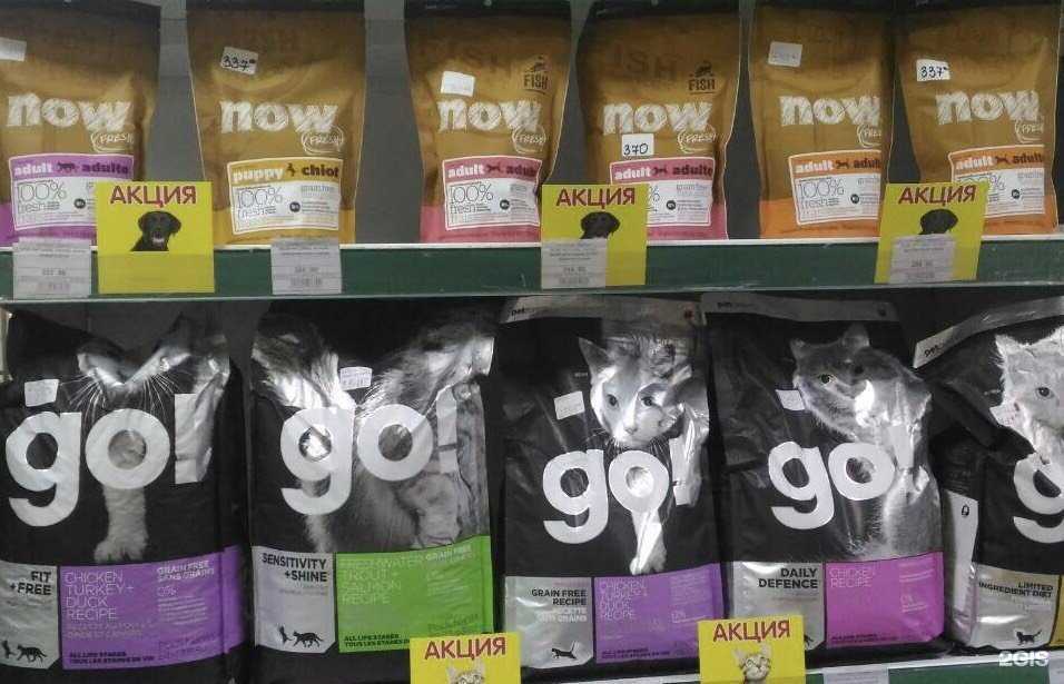 Отзывы на компанию Дружок в Улан-Удэ c фото