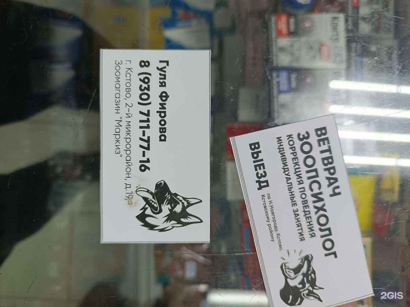 Отзывы на компанию Ветеринарный кабинет в г. Кстово c фото