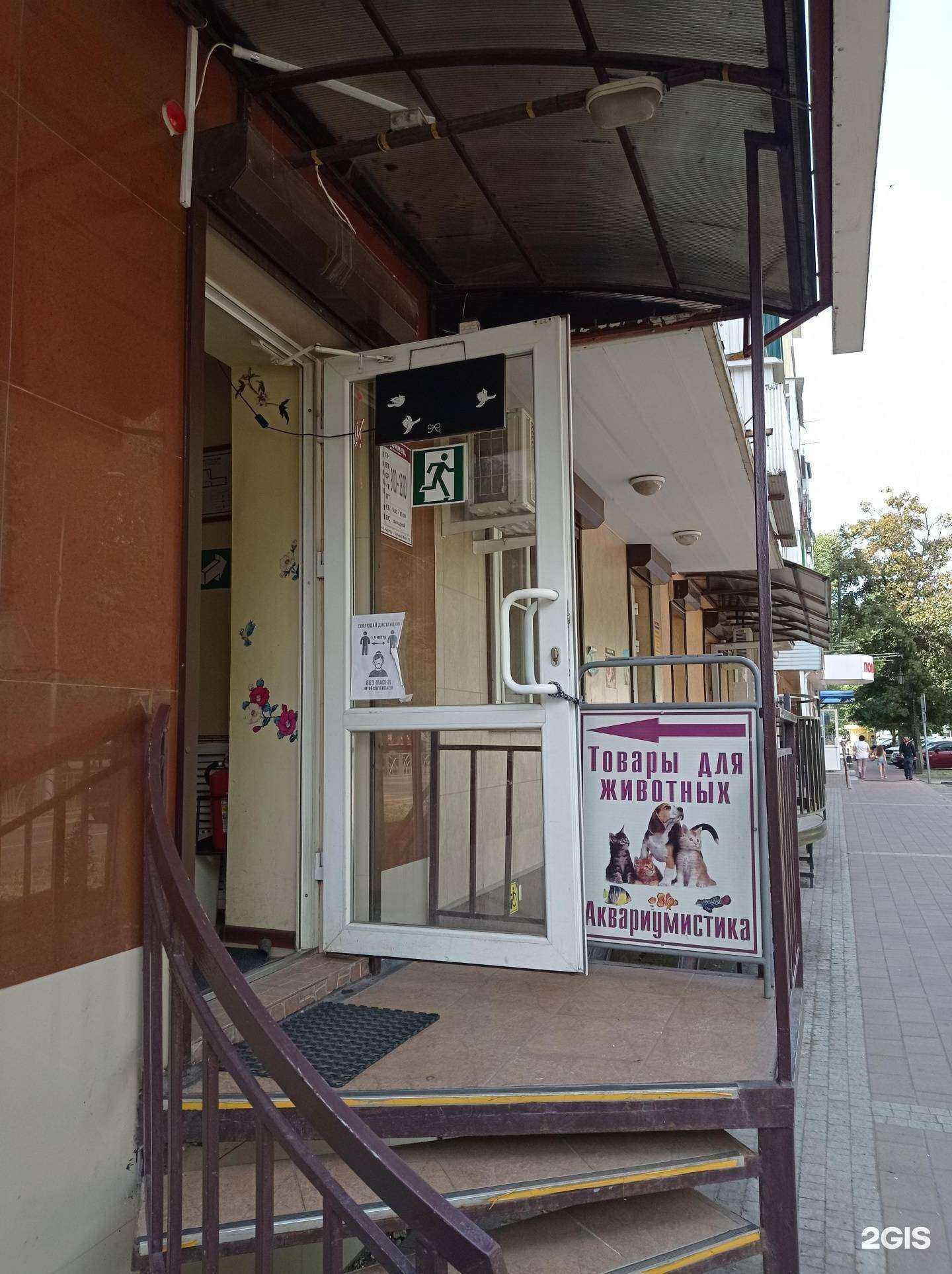 Отзывы на компанию Любимец в Невинномысске c фото