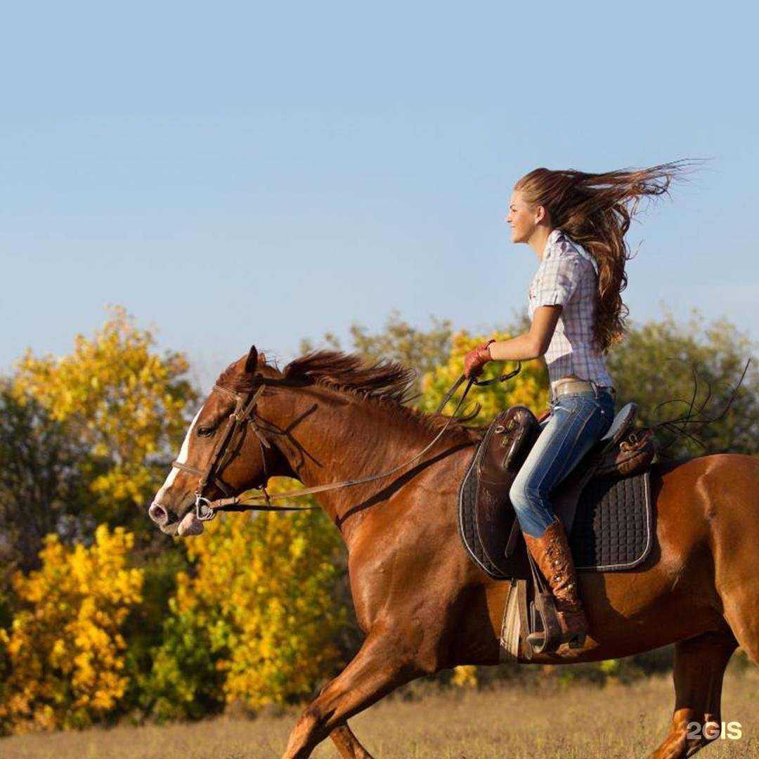 Отзывы на компанию Целебный Ессентуки в г. Ессентуки c фото