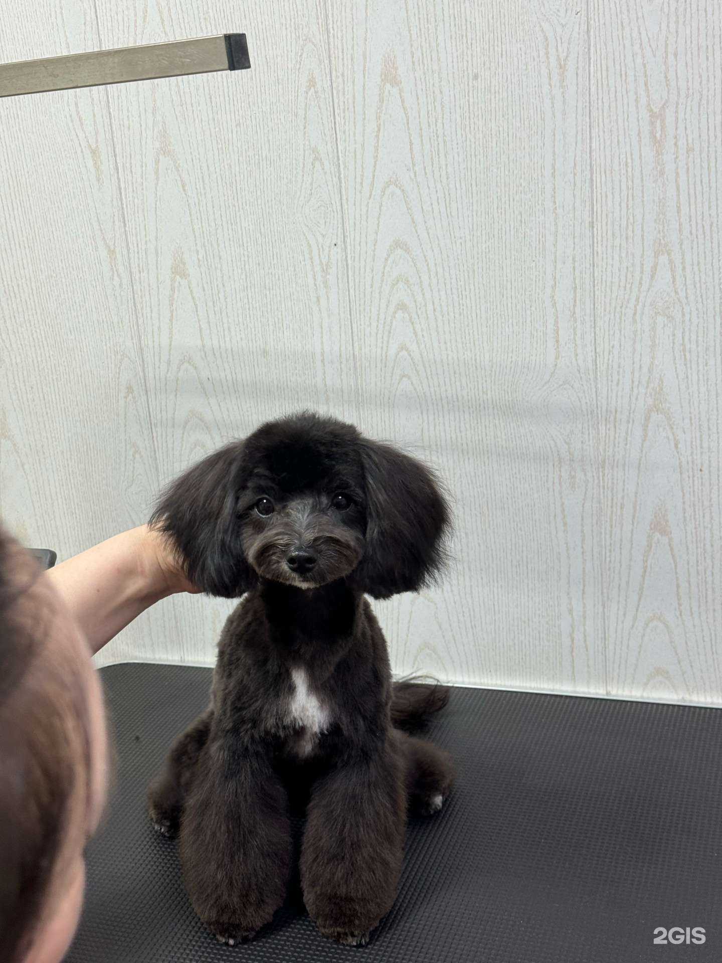 Отзывы на компанию Аврора в Казани c фото