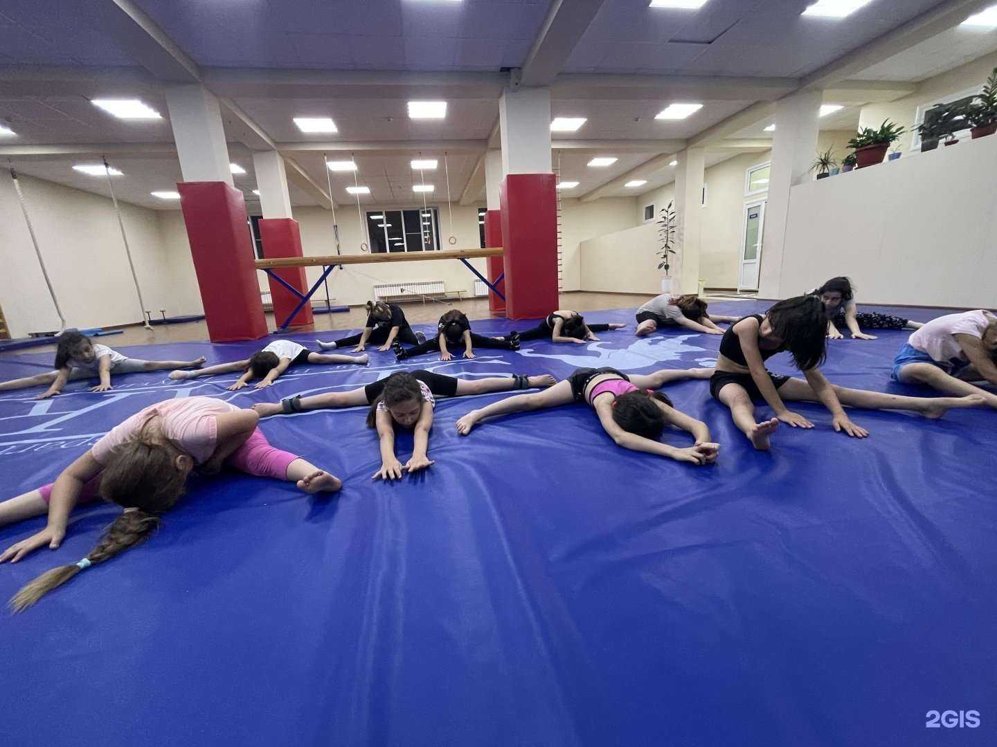 Отзывы на компанию Школа спортивной гимнастики в Каспийске c фото