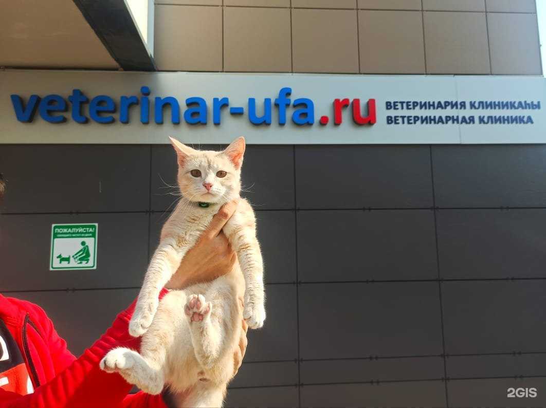 Отзывы на компанию veterinar-ufa.ru в Уфе c фото