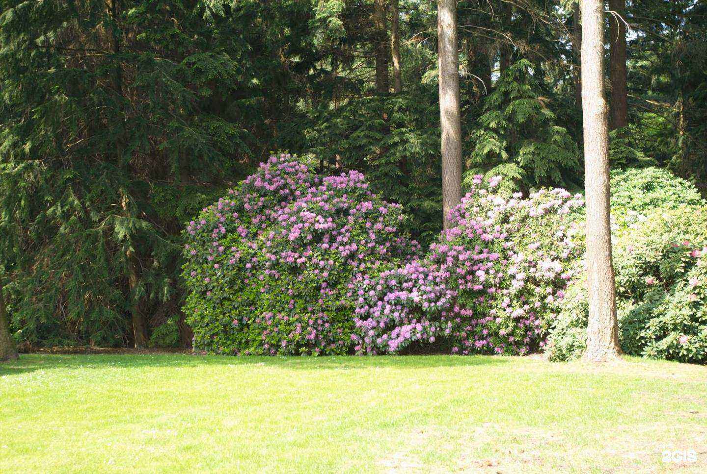 Отзывы на компанию Арт грин дизайн в г. Отрадное c фото