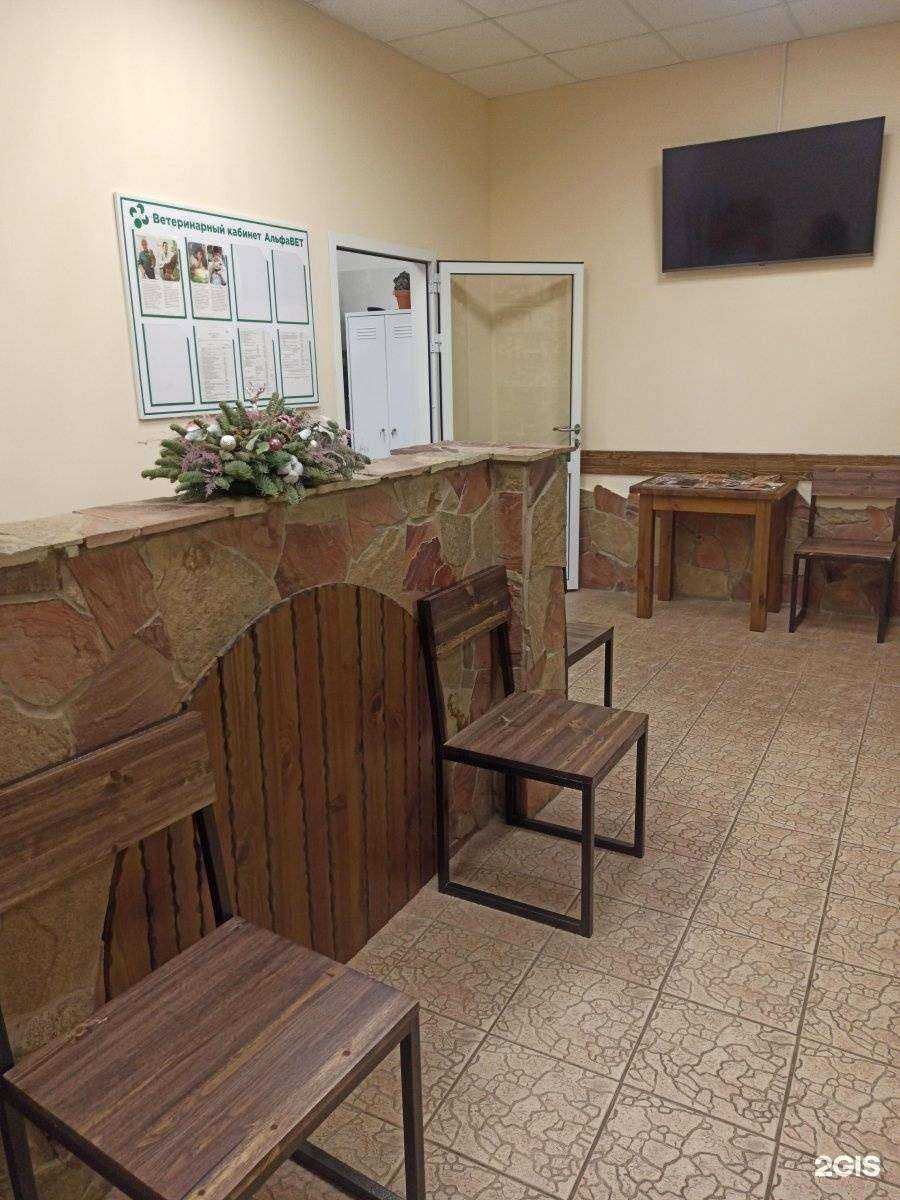 Отзывы на компанию Альфа Вет в Иванове c фото