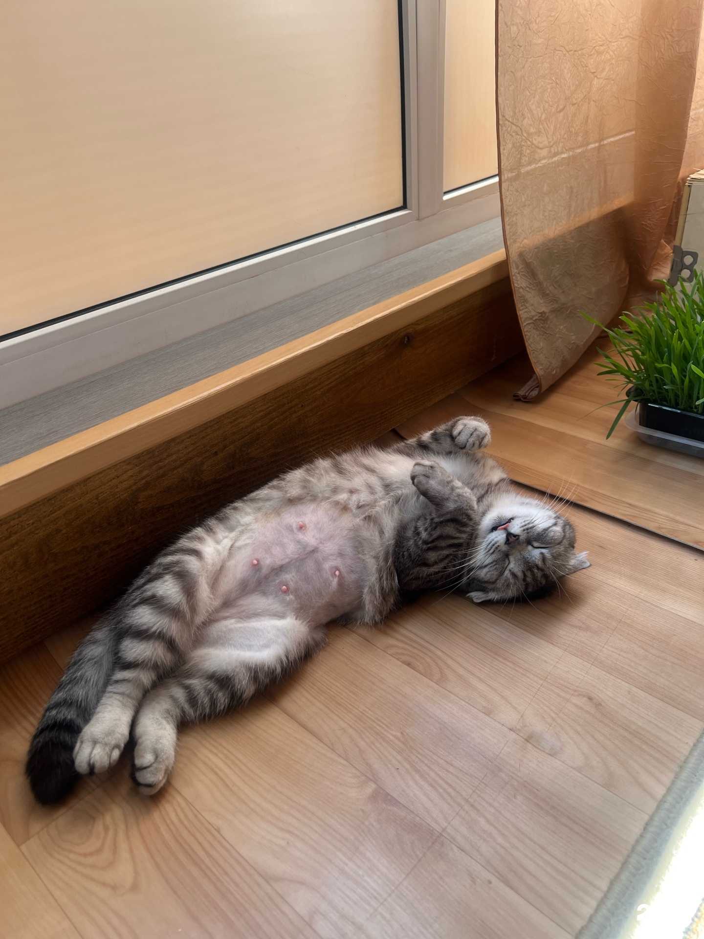 Отзывы на компанию Красноярский отдел ветеринарии в Красноярске c фото