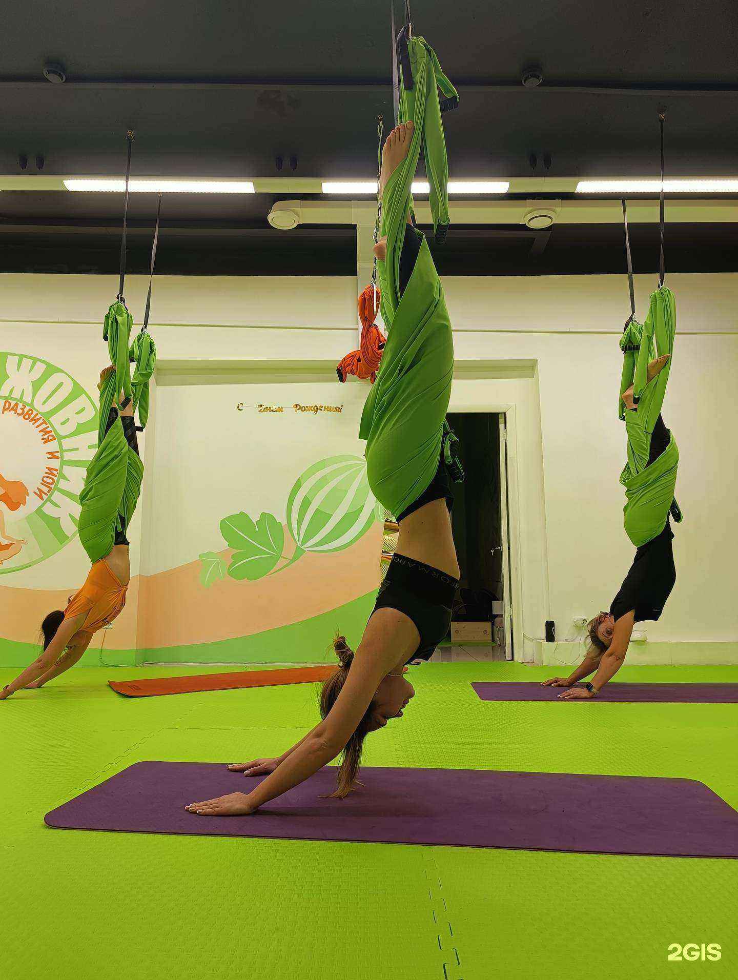 Отзывы на компанию Крыжовник в г. Брянск c фото